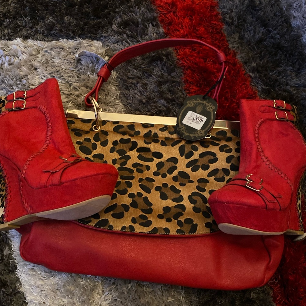 Purse and/or shoe